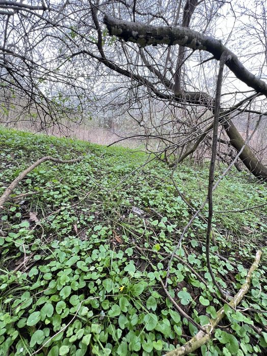 Терміновий продаж ! Ділянка під Будівництво . Вовчухи