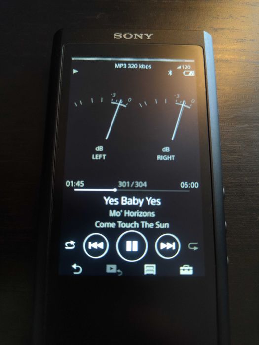 Sony Walkman NW-ZX300 przenośny odtwarzacz audio (DAP)