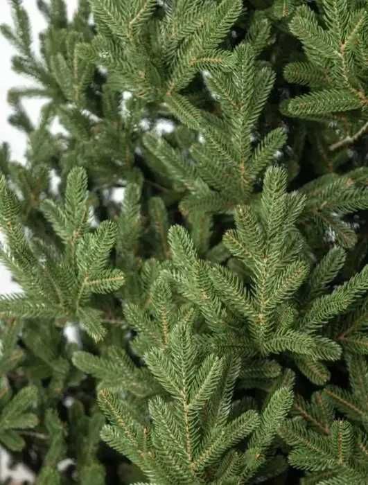 Ялинка Лита "Віденська" Елітна Зелена розмір 2.1м