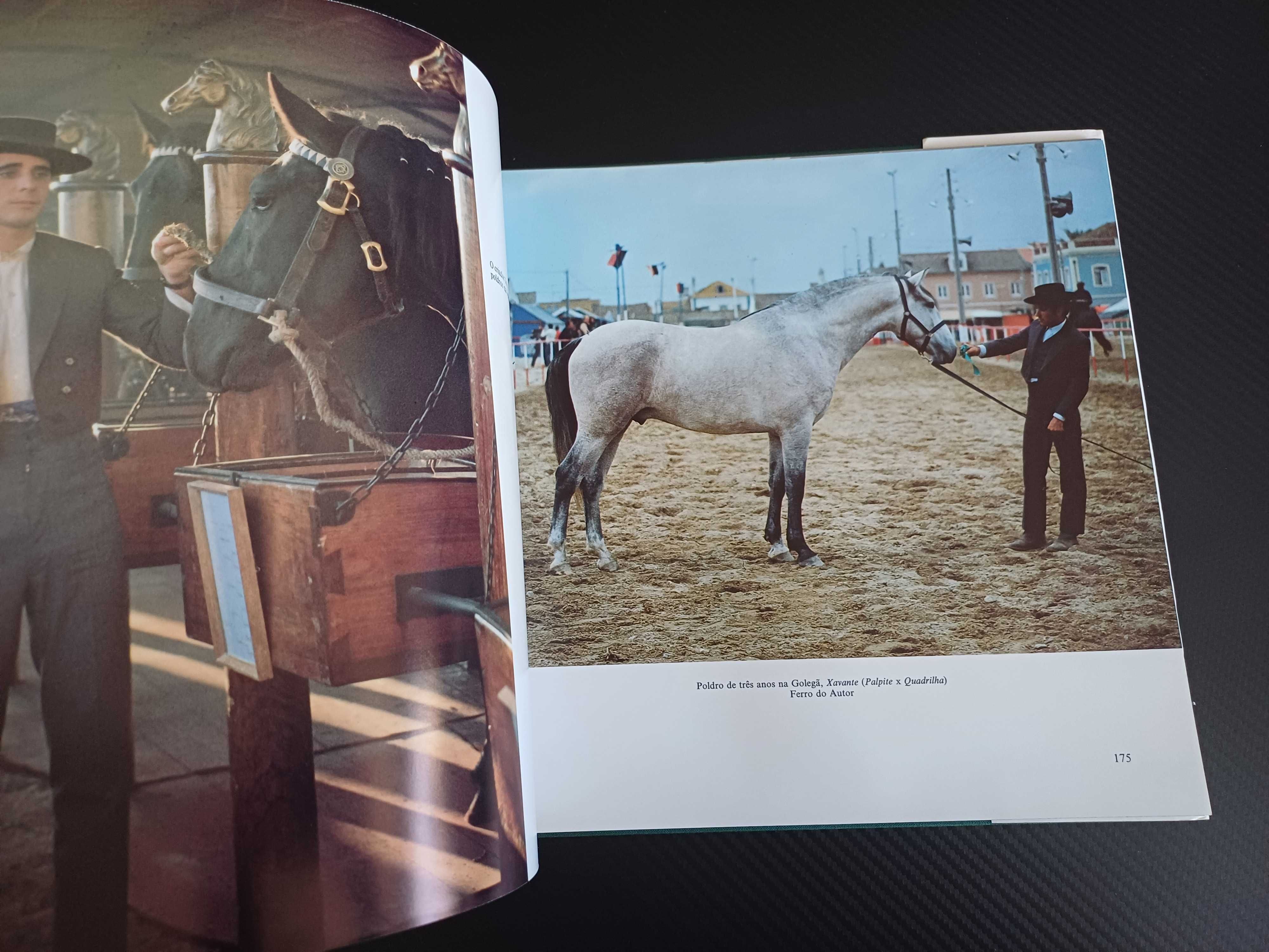 Cavalo Lusitano - Filho do  Vento