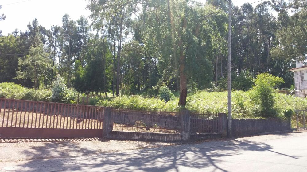 Terreno Caldas S. Jorge