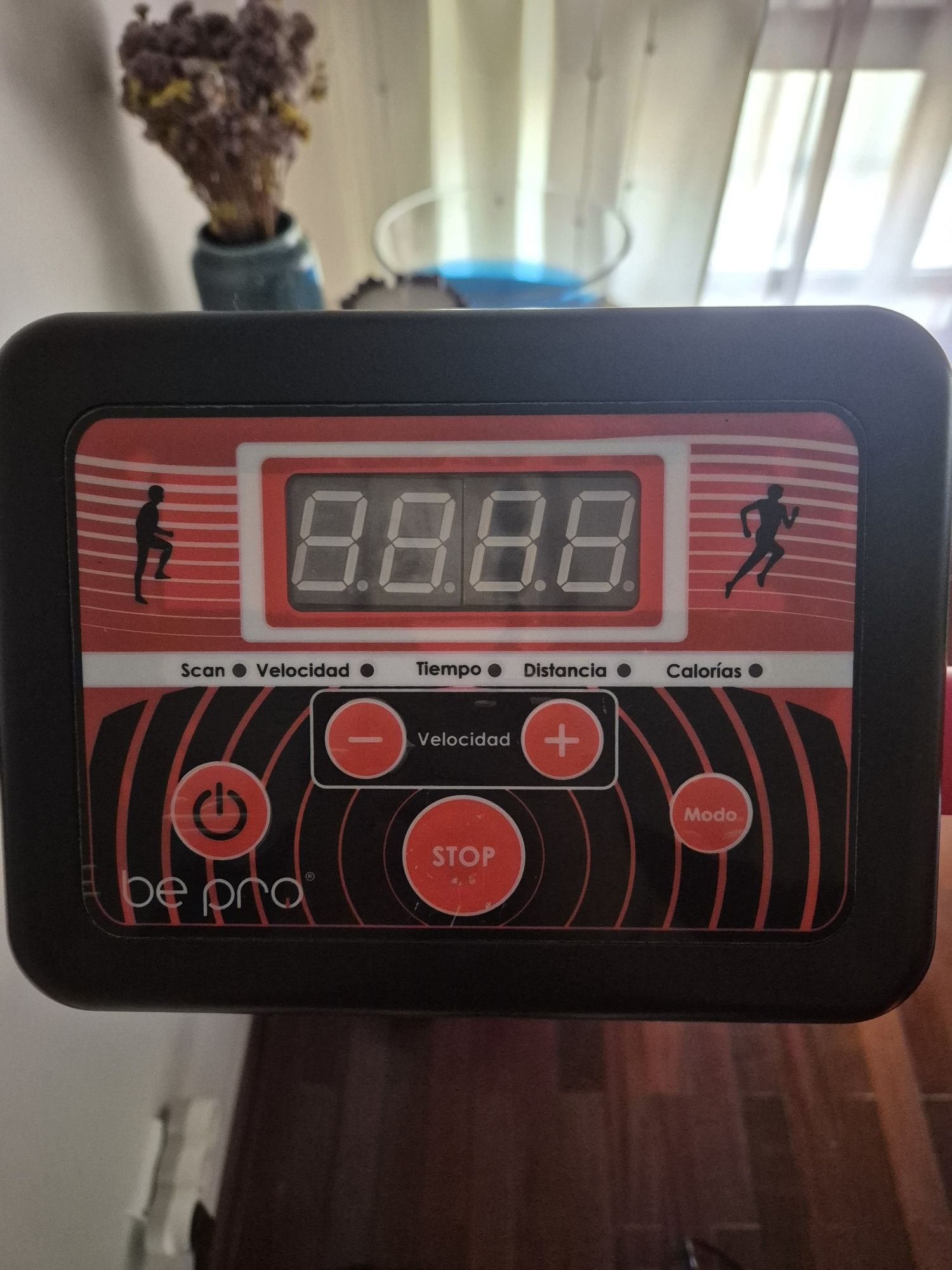 Passaeira Elétrica como nova