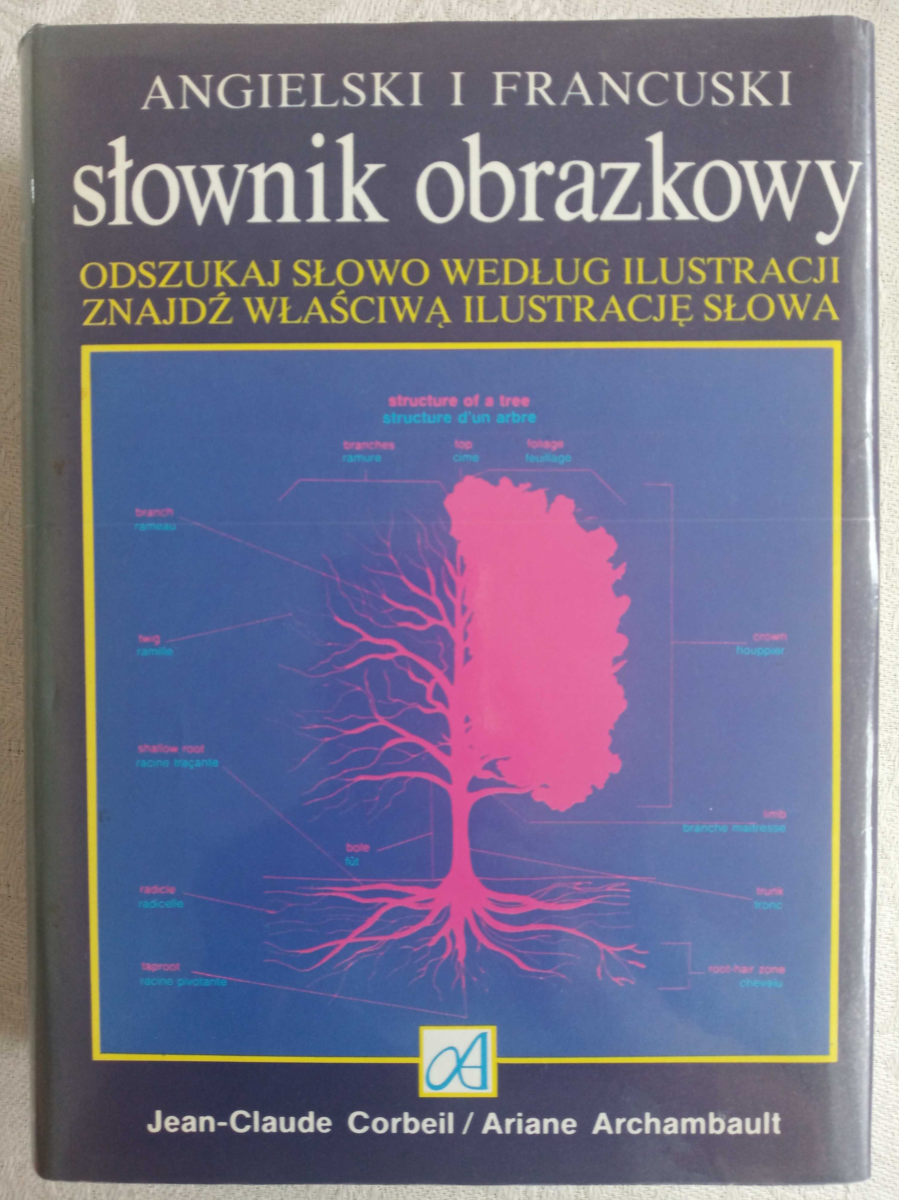 Słownik obrazkowy angielsko francuski - Corbeil Archambault