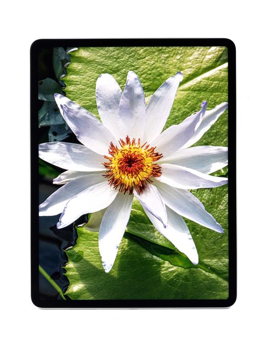 iPad Pro 12.9 2021 M1 Silver 128GB Wi-Fi Dream Store