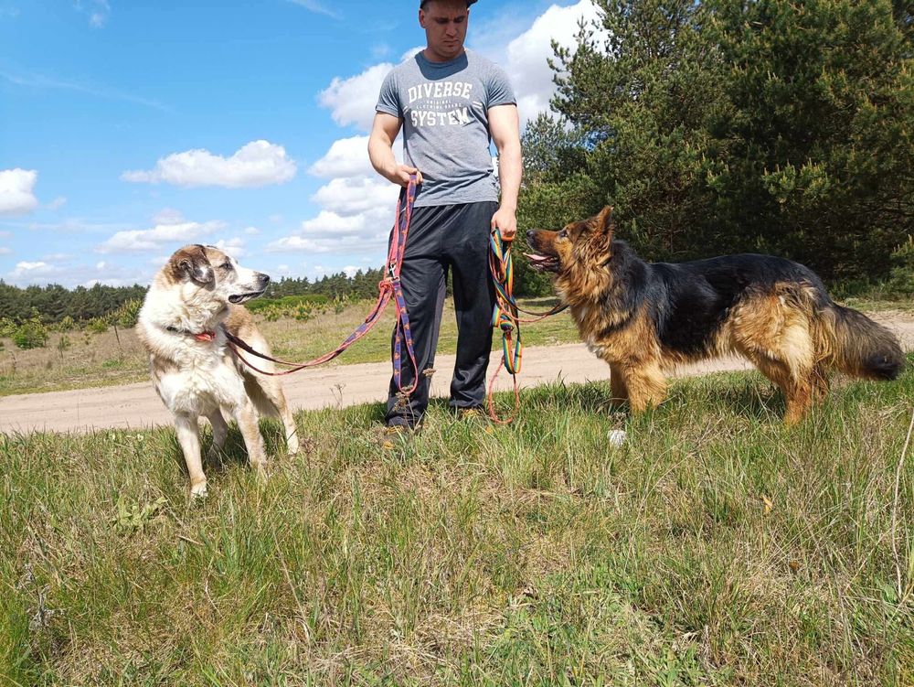 Bolek i Lola szukają wspólnego domu