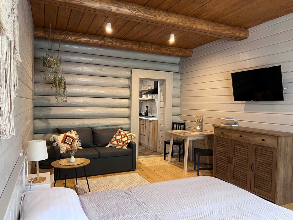 СУЧАСНИЙ БУДИНОК, відпочинок В КАРПАТАХ біля річки та лісу, зал 30м2