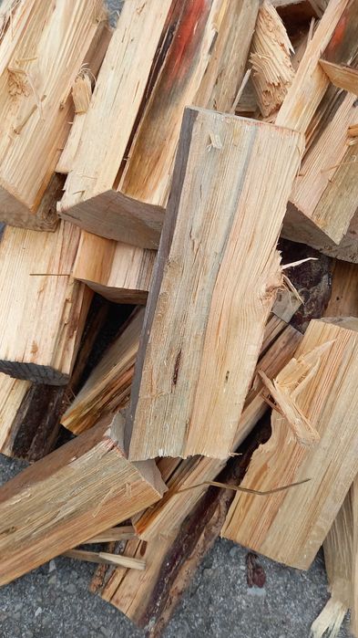 Lenha de pinho e outras