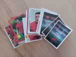Cromos Fome de Vencer 2022 (Continente) - Mundial Qatar