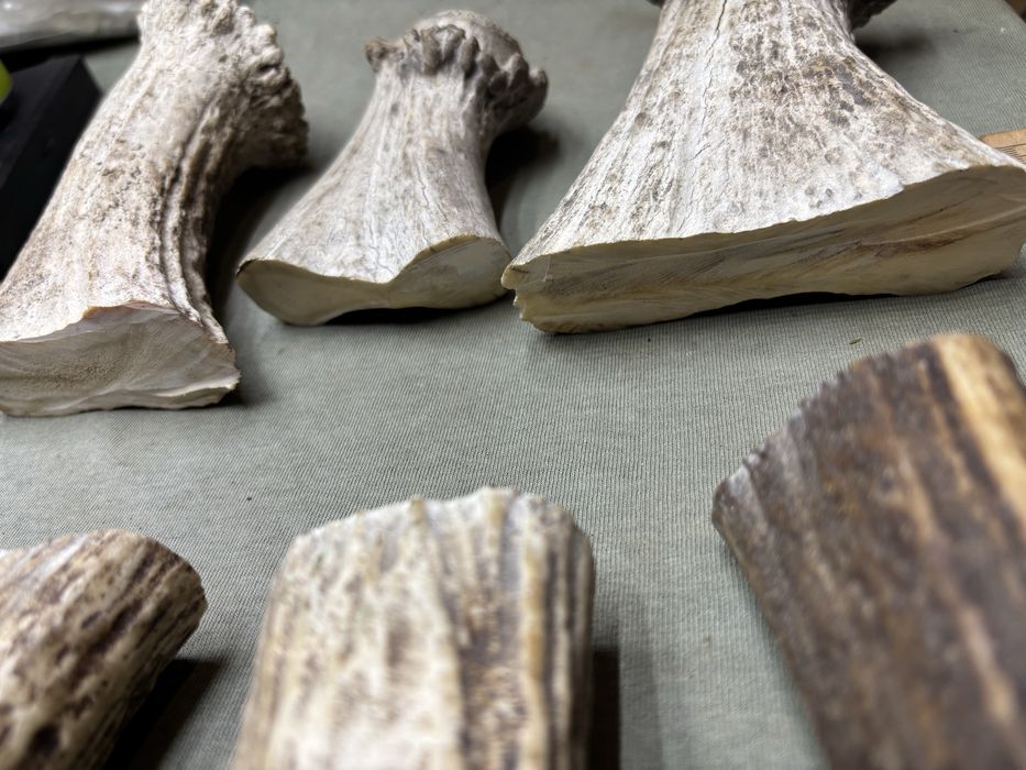 Масивні заготовки рог