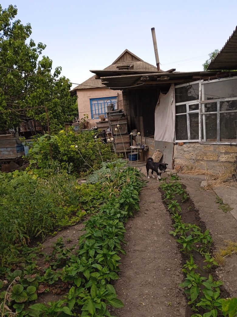 Продаж будинку в с.Привільне, Миколаївська область