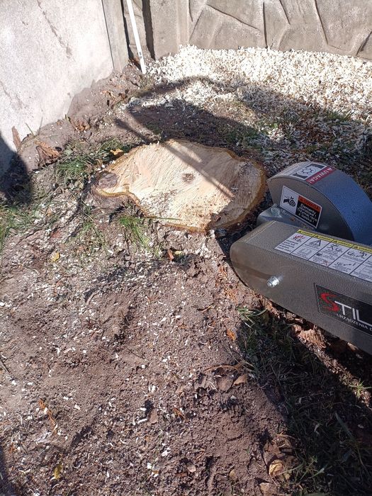 Frezowanie pni , usuwanie korzeni