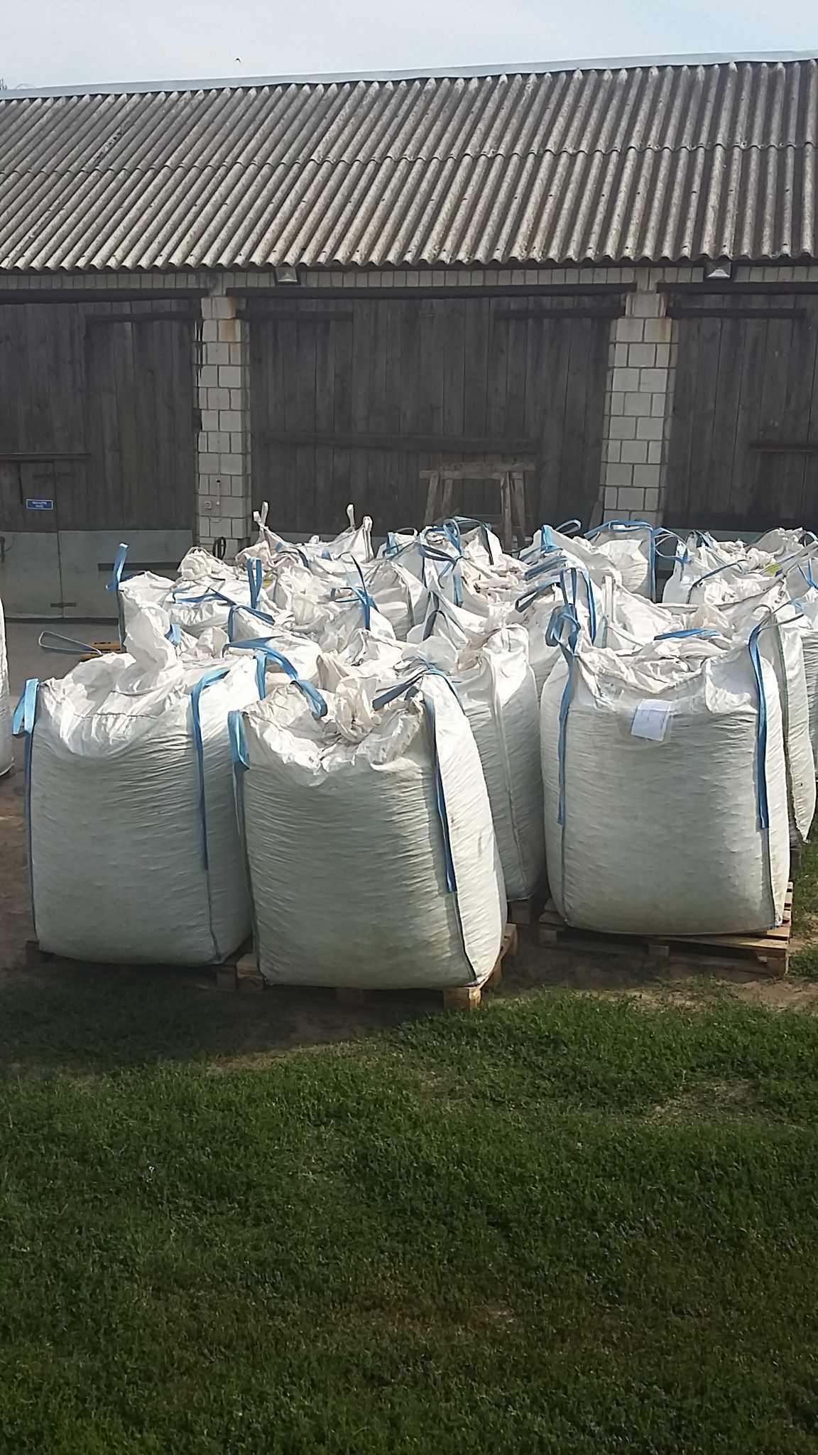 BÓB LUCERNA Koniczyna Sorgo Proso Wyka Groch Słonecznik Rajgras Trawa