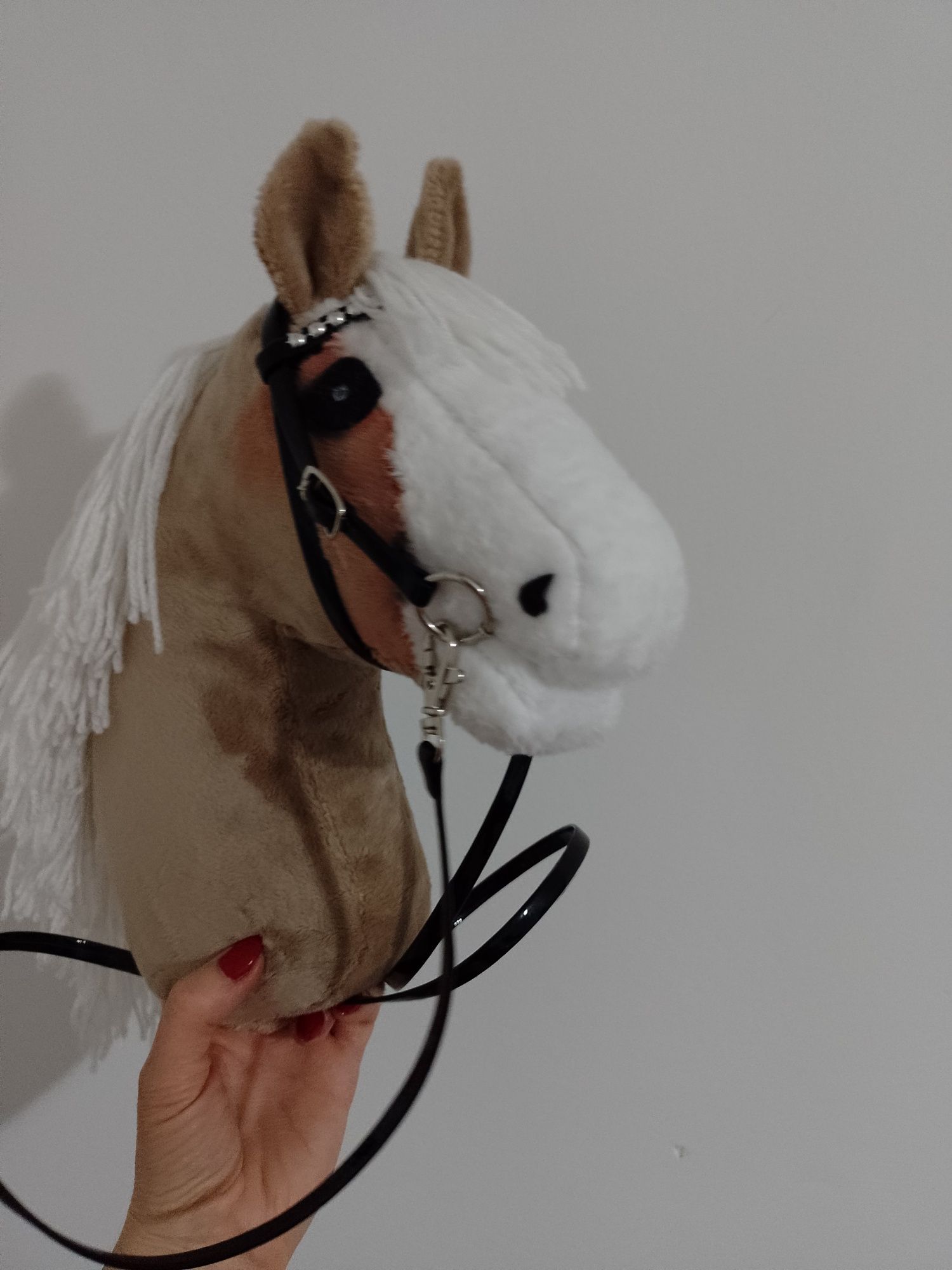 Hobby Horse Sport