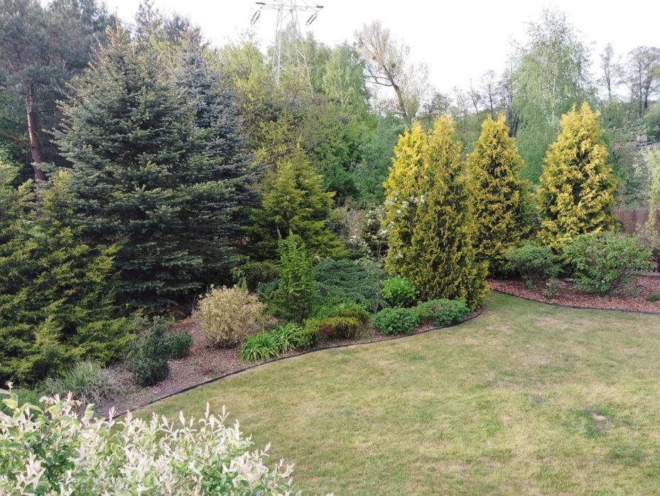 Usługi ogrodnicze- Zgierz i okolice