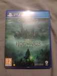 Jogo Hogwarts legacy deluxe edition (PS4)