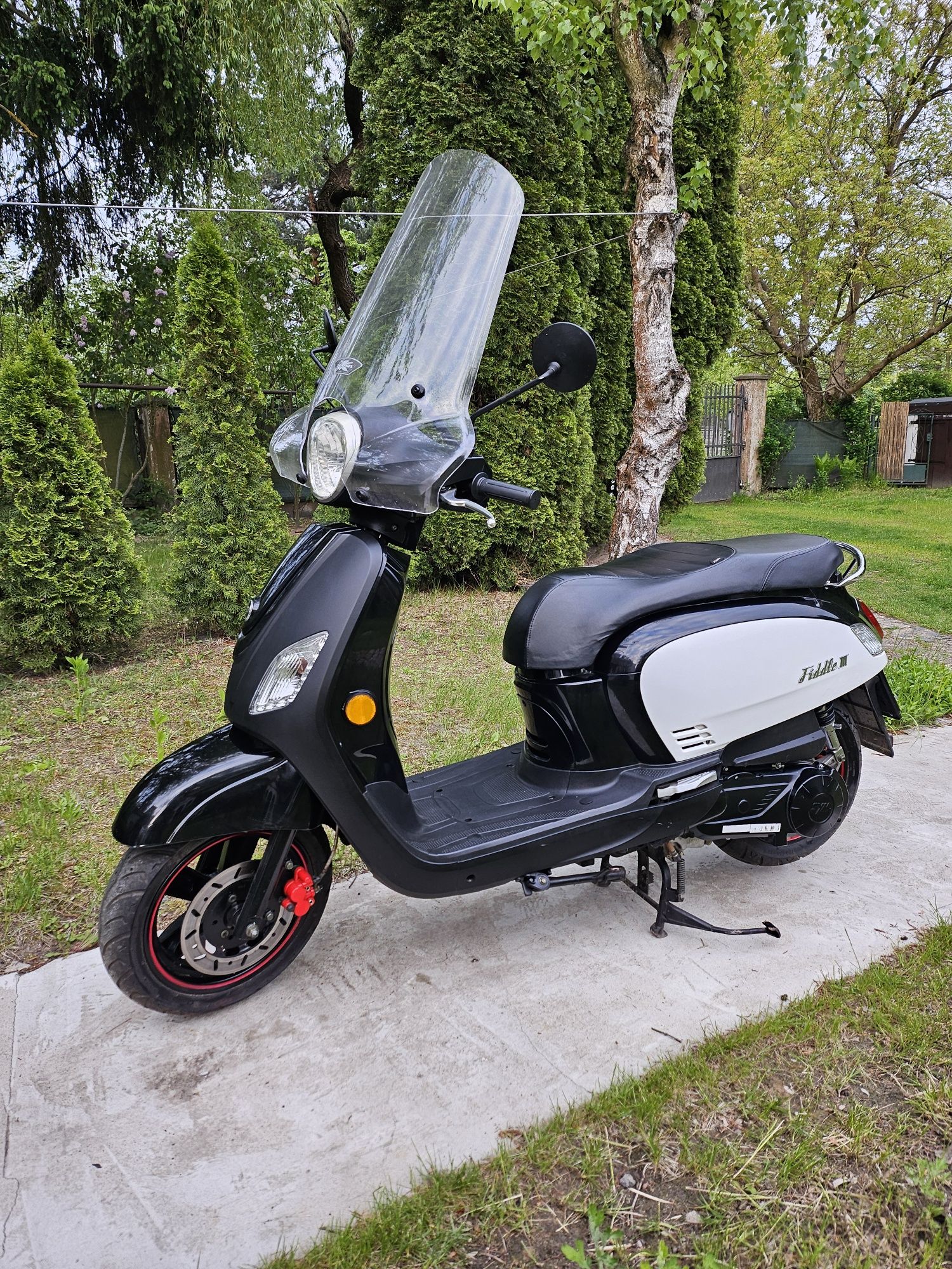 Sym Fiddle 3 125 cm