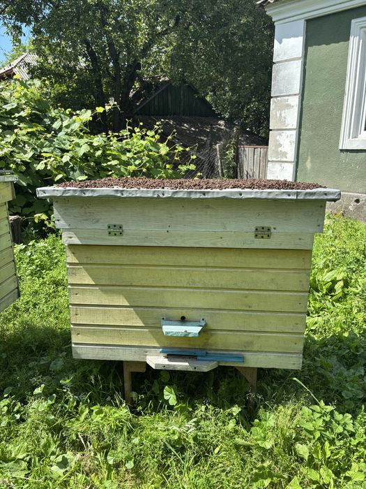 Продам вулики для бджіл