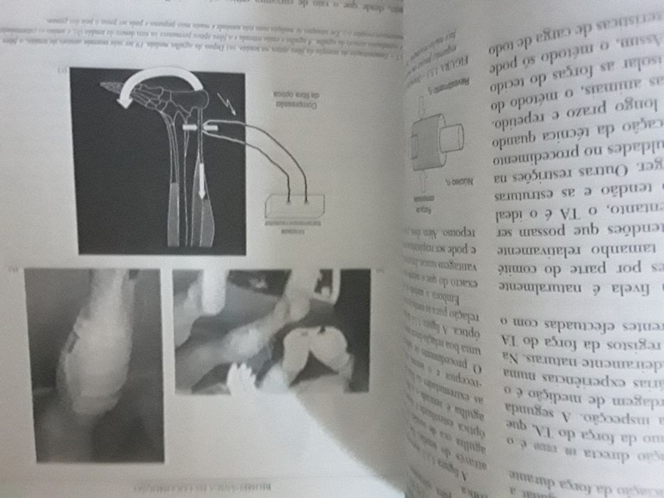 Medicina Desportiva