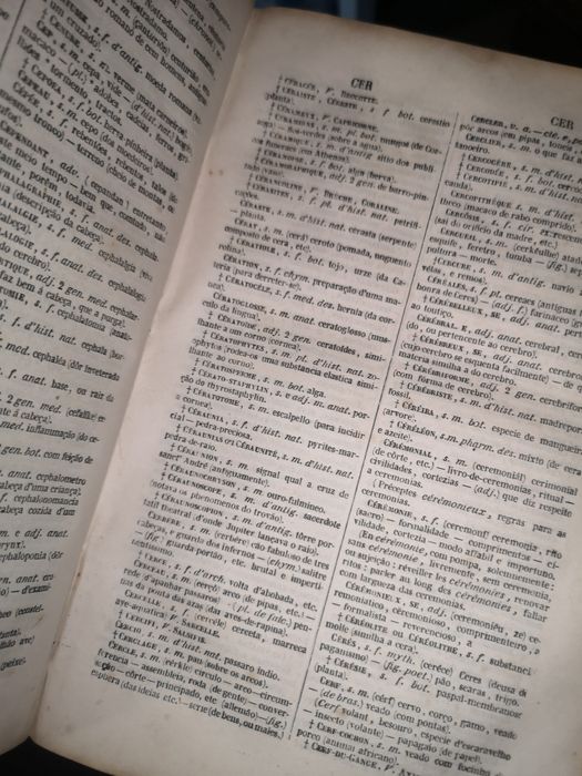 Dicionário de 1879 (Francês - Português)