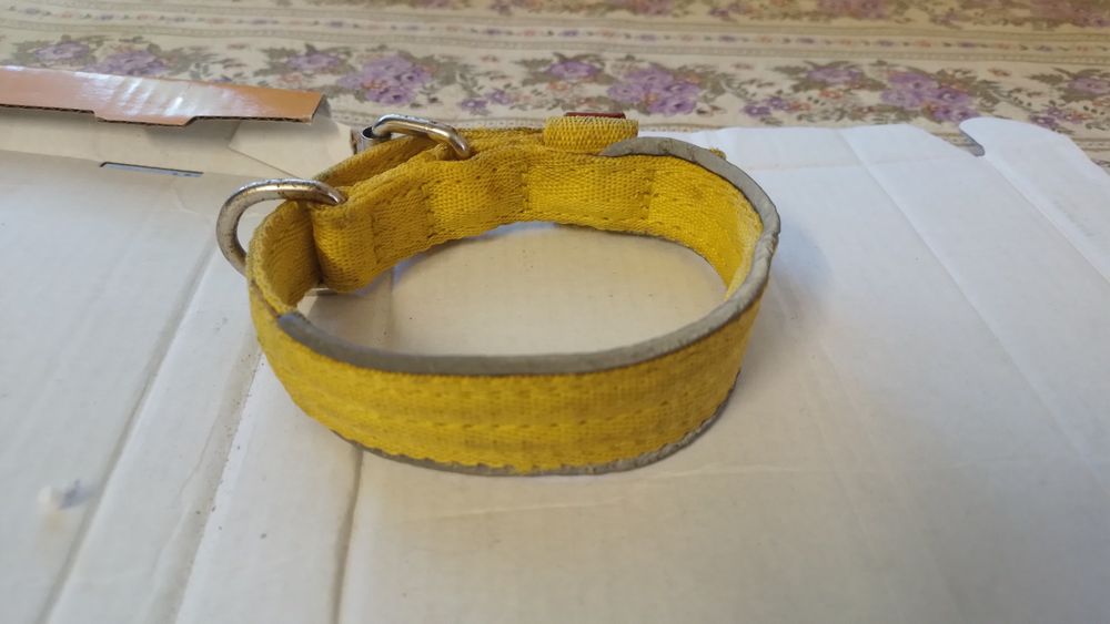 Ремiнець для самих маленьких собак