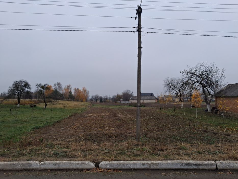 Земельна ділянка в ЦЕНТРІ с.Борохів