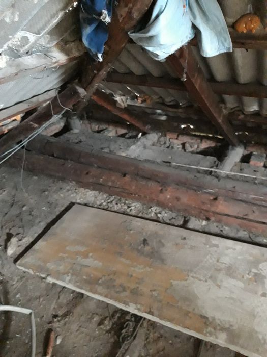 Бревно сосна,2 шт.