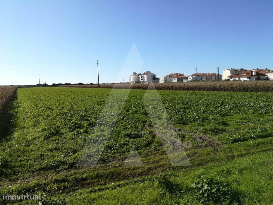 Terreno para construção na Praia da Vagueira