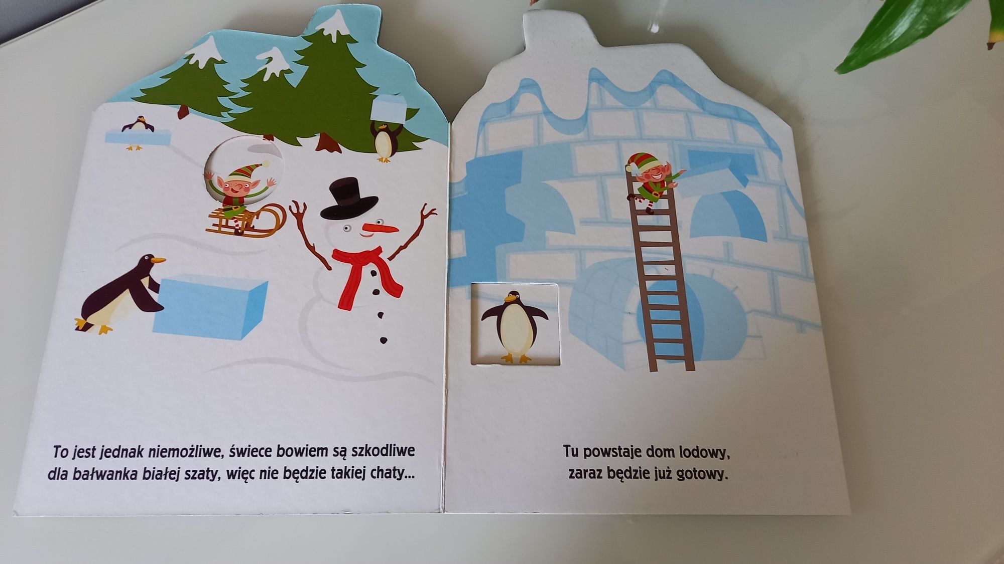 Książka Dom dla śniegowego bałwanka
