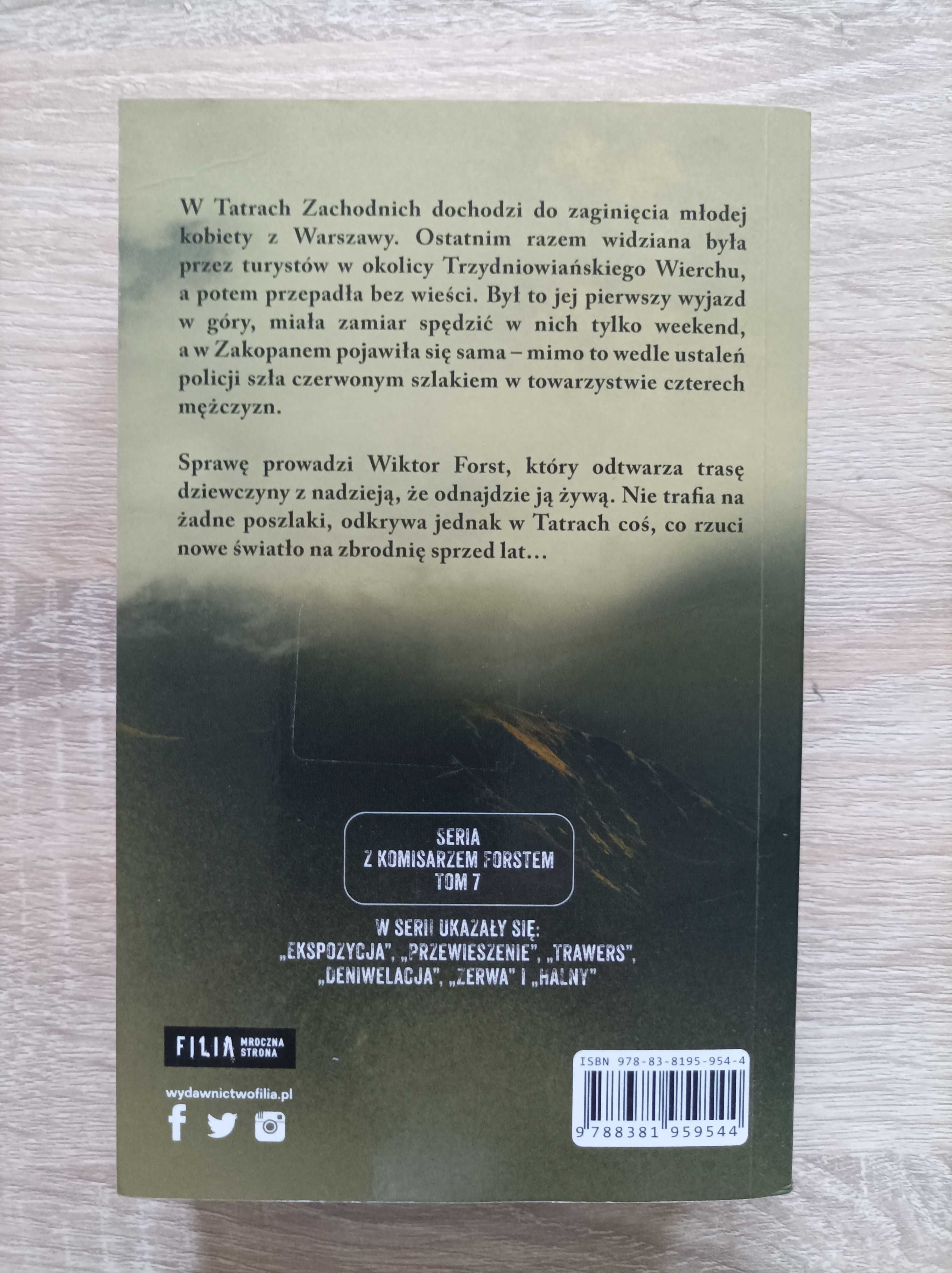 Remigiusz Mróz - Przepaść