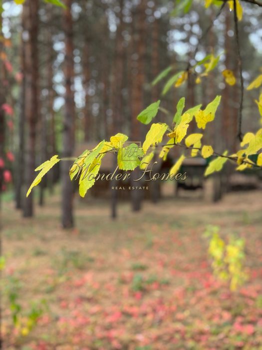 Продаж ділянки 1,7 Га Конча-Заспа та резиденції будинку 250м2