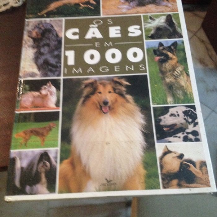 Livro corpo humano e Cem imagens de cães