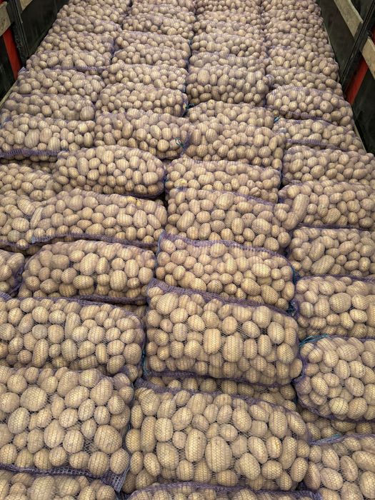 Картошка, картопля