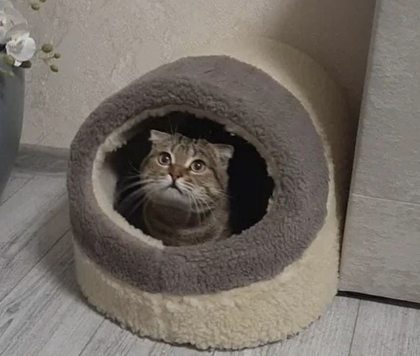 Тепла хутряна хатинка будиночок лежанка лежак для тварин кота собаки