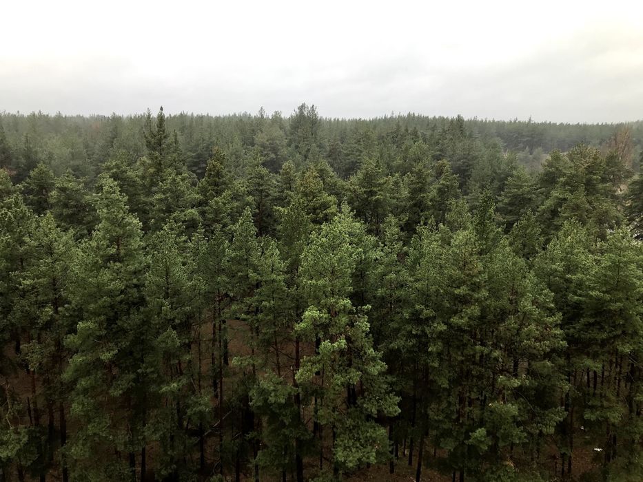 Прев'ю фото 4