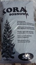 Kora sosnowa średnia
