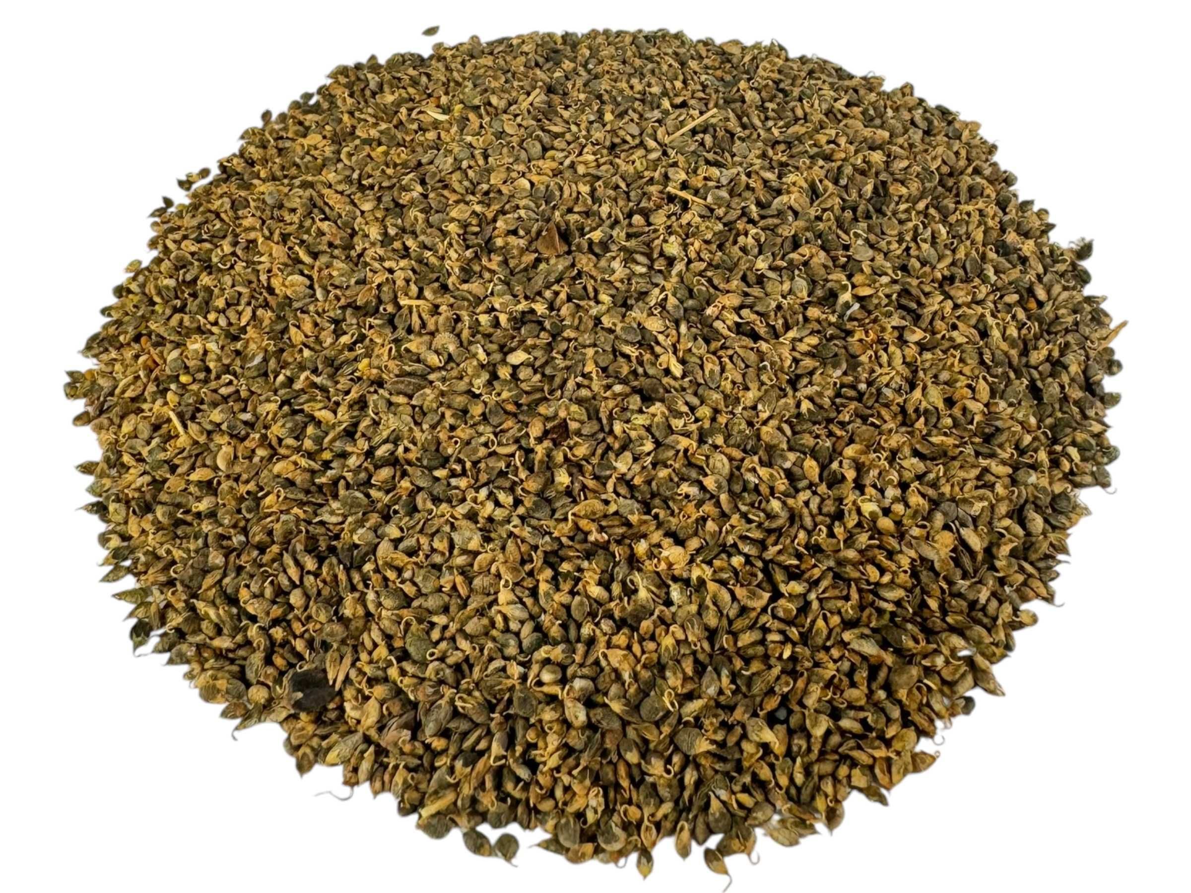 Nostrzyk biały ładny niebukowany 1kg