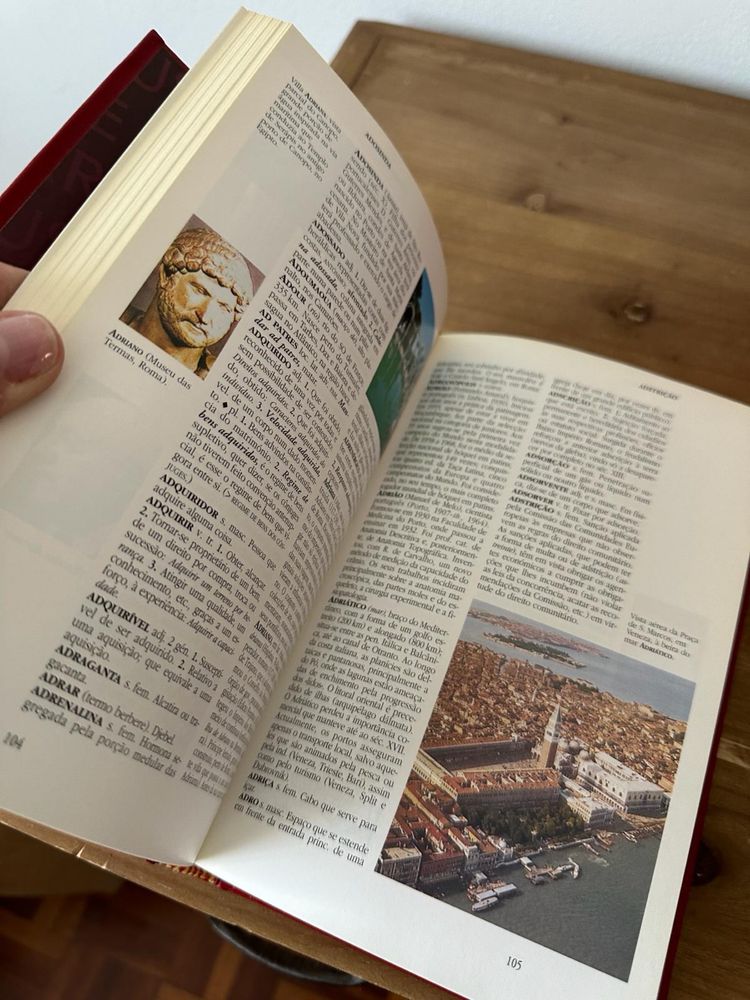Enciclopedia Larousse 22 livros