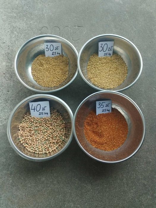 Sprzedam Jęczmień TILMOR,  Proso, Owies, Groch  (szczegóły w opisie)