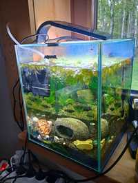 Akwarium AquaEl 15 l używane