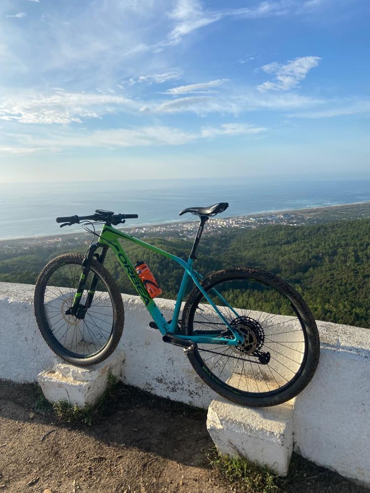 Orbea alma carbono