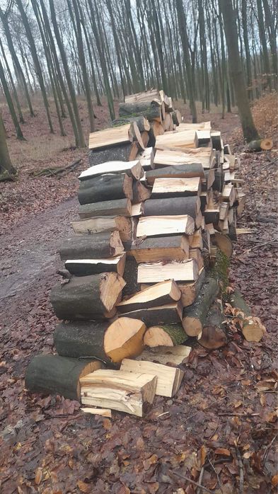 Twarde drewno opałowe