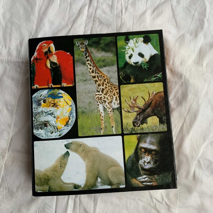 Книга энциклопедия В мире дикой природы