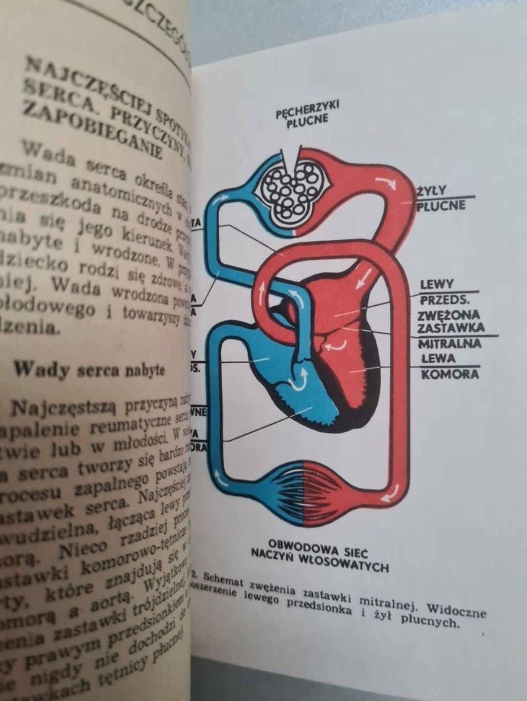 Serce i jego choroby - Książka