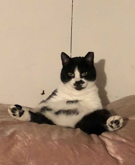 Już prawie 3 lata mieszka w zimnym przytułku. Daj szansę Jenny