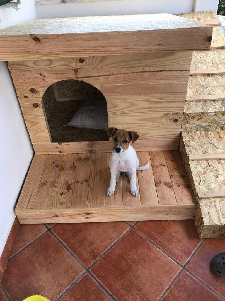 Casa para cão feito em madeira