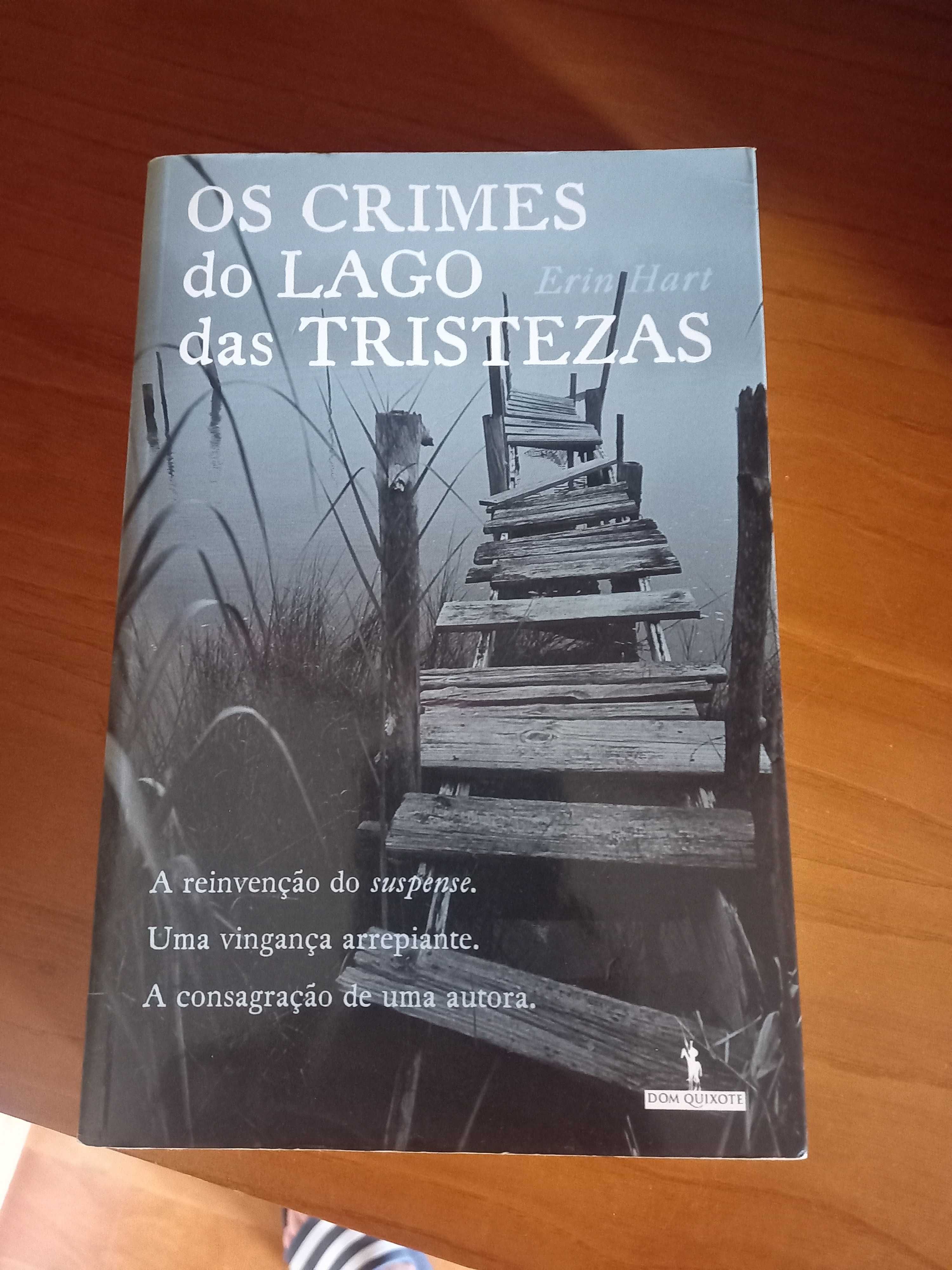 Os Crimes do Lago das Tristezas - Erin Hart