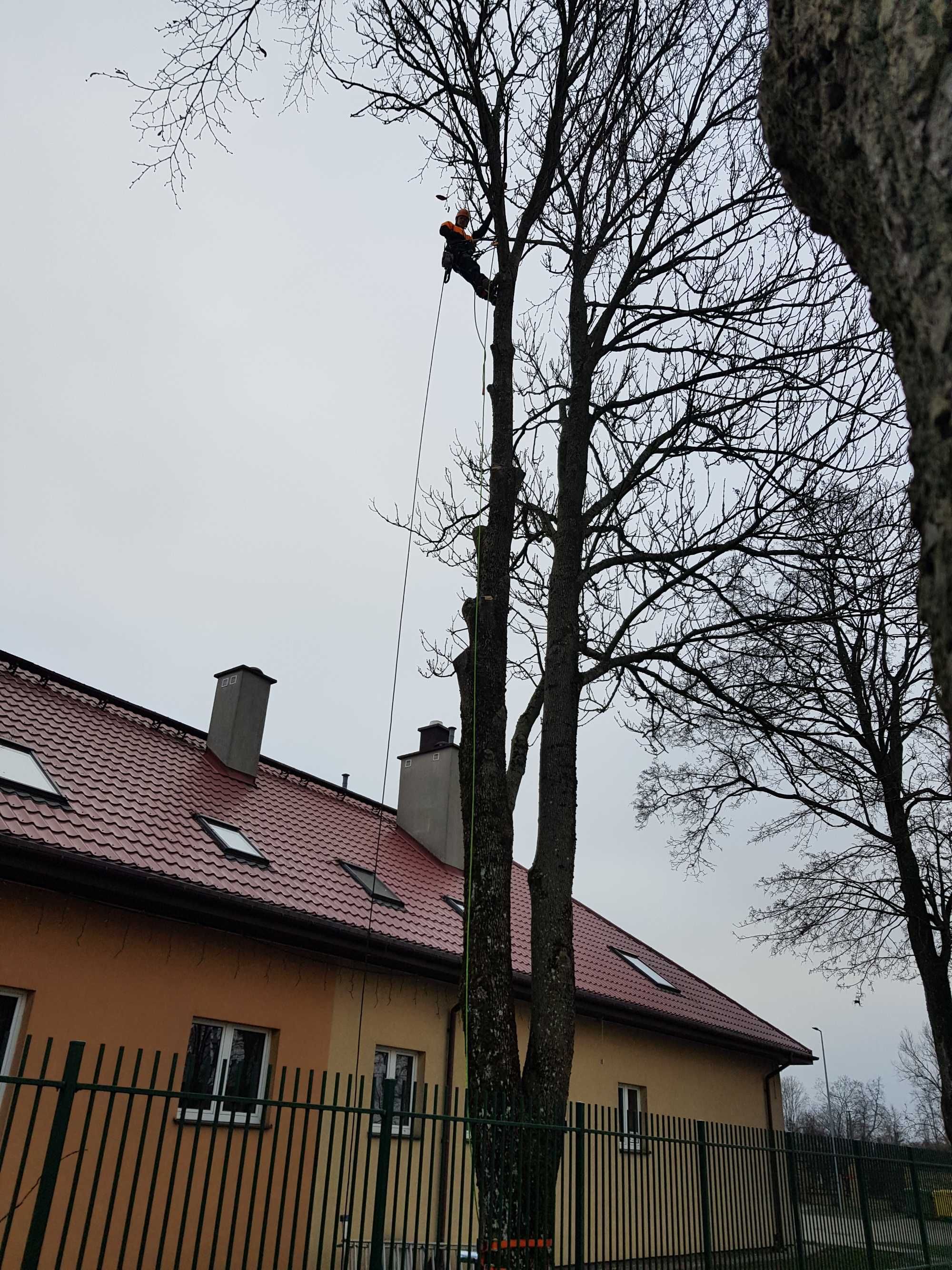 Wynajem Rębak do gałęzi , wywóz gałęzi , wycinka drzew , sprzątanie