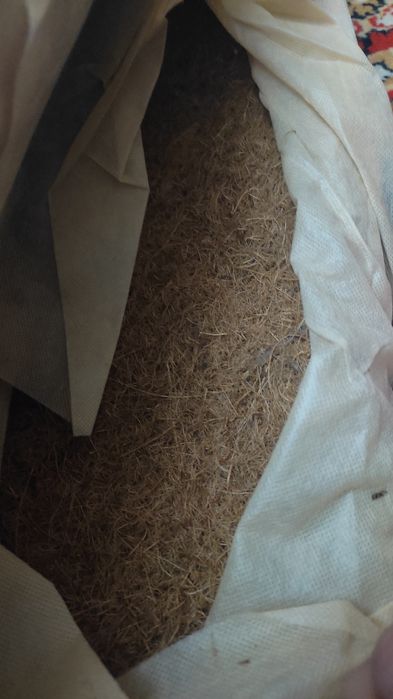 Матрац дитячий 120*60 Кокос