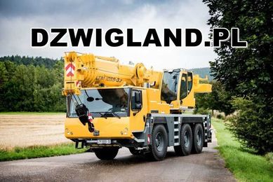 Dźwigi, żuraw, wynajem dźwigu i ładowarki teleskopowej