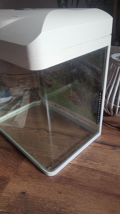 Akwarium z zaokrąglonymi narożnikami (zestwaw)